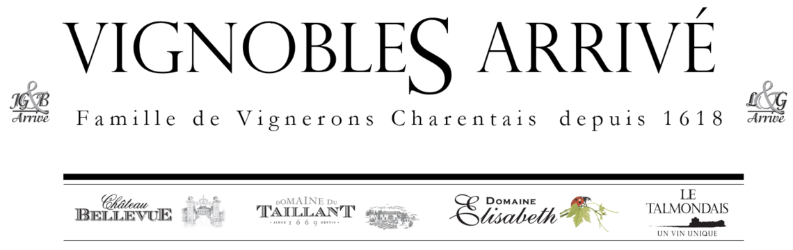 Vignobles Arrivé