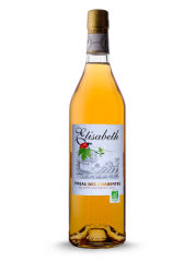 Vignobles Arrivé, Élisabeth, Pineau des Charentes Organic, bílé, 0.75l