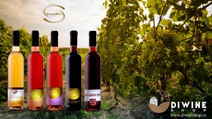 Likérová vína z Moravy: Vinařství Košulič
